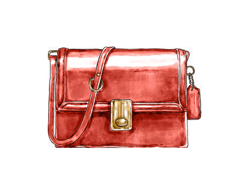 Bolsos, carteras y neceseres