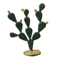 Cactus navidad belen decoracion 