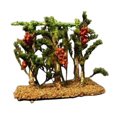 Tomatera de 10 cm ideal para tu belén navideño. navidad decoracion