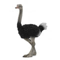 Animales de colección ideal para niños o para coleccionistas amantes de los animales, figuritas de animalitos para el desierto de tu belén, figuras de animales para el pesebre de Navidad, figura de avestruz de alta calidad de collecta a escala