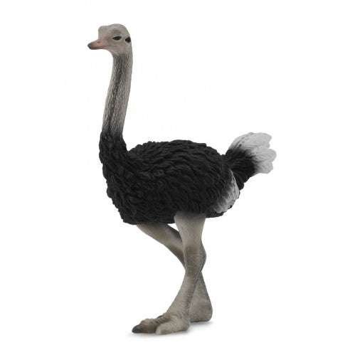 Animales de colección ideal para niños o para coleccionistas amantes de los animales, figuritas de animalitos para el desierto de tu belén, figuras de animales para el pesebre de Navidad, figura de avestruz de alta calidad de collecta a escala