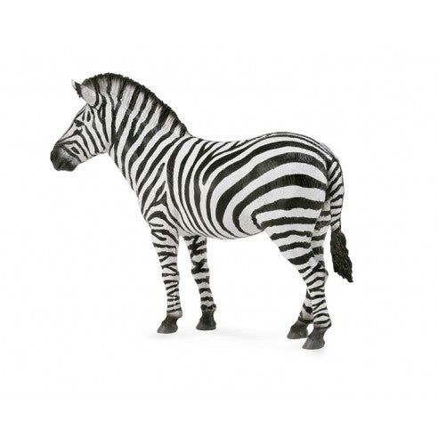 Figuras de animales de colección ideal para niños o para coleccionistas amantes de los animales, figura de cebra común de collecta