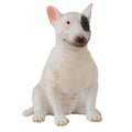 Figura de perro de la raza Bull Terrier hembra sentada ideal para niños o para coleccionar, figuras de animales para el belén, figuritas de animalitos para el pesebre de navidad