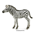 Figuras de animales de colección ideal para niños o para coleccionistas amantes de los animales, figura potro de cebra común de collecta