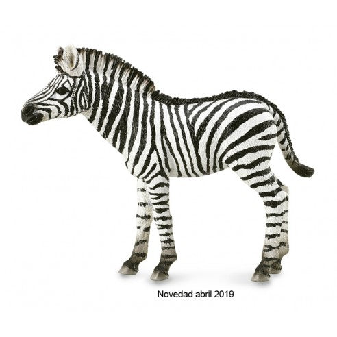 Figuras de animales de colección ideal para niños o para coleccionistas amantes de los animales, figura potro de cebra común de collecta